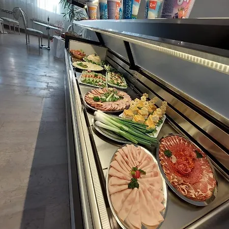 מלון Minerva מדולין