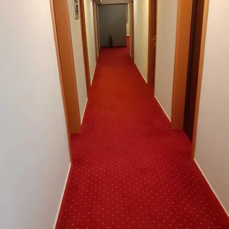 Minerva מדולין