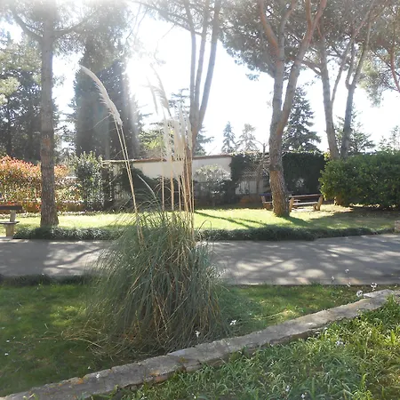Minerva Hotel 3*