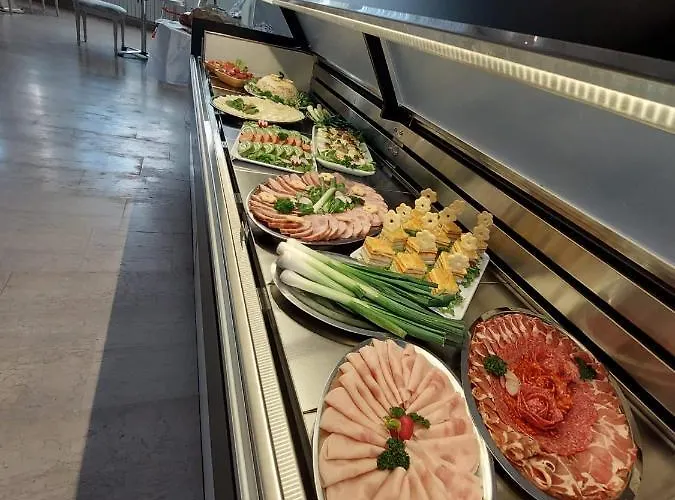 酒店 Minerva 梅杜林