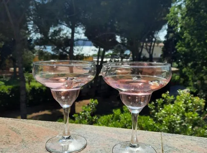 酒店 Minerva 梅杜林